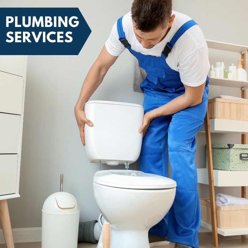 Plumbing Company in Camden, MI